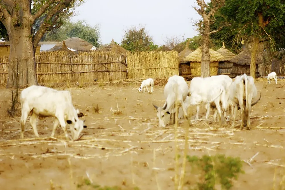 Lagos Revises Farm Input Distribution as Residents Demand Faster Action
