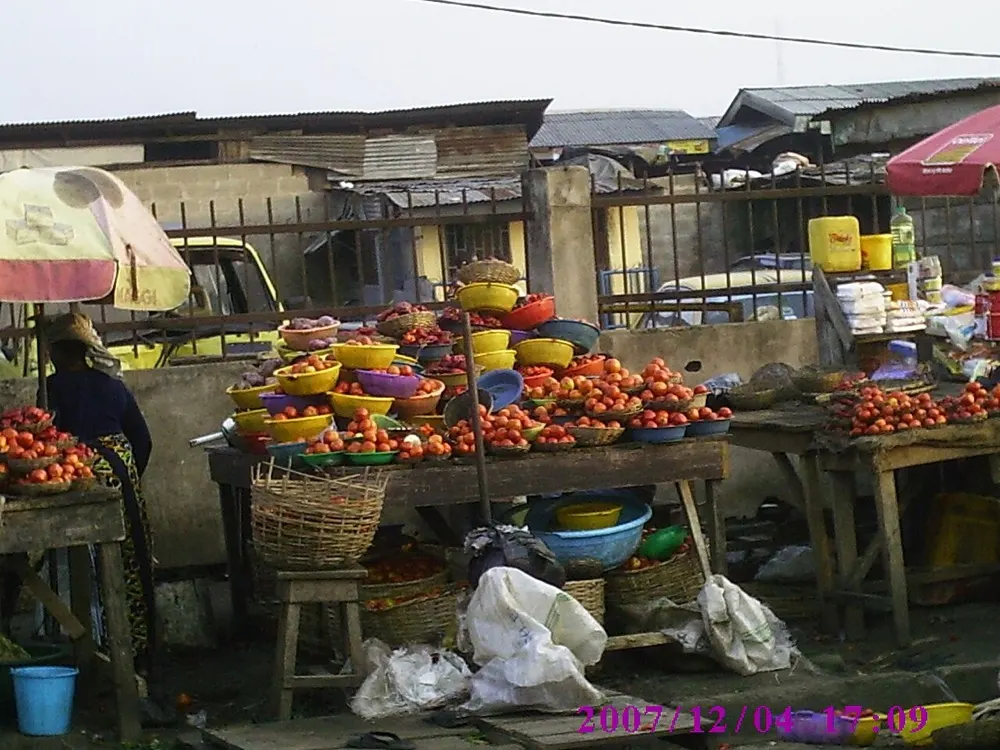 Kano Announces Export Promotion Drive with Stakeholders Urging Visible Progress