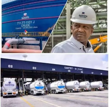 Dangote Agrees to Appear on Isbae U's 'Curiosity Made Me Ask'