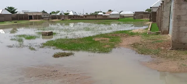 Floods Have Killed 245 People and Displaced Nearly 215,000 in 2026, Says NEMA